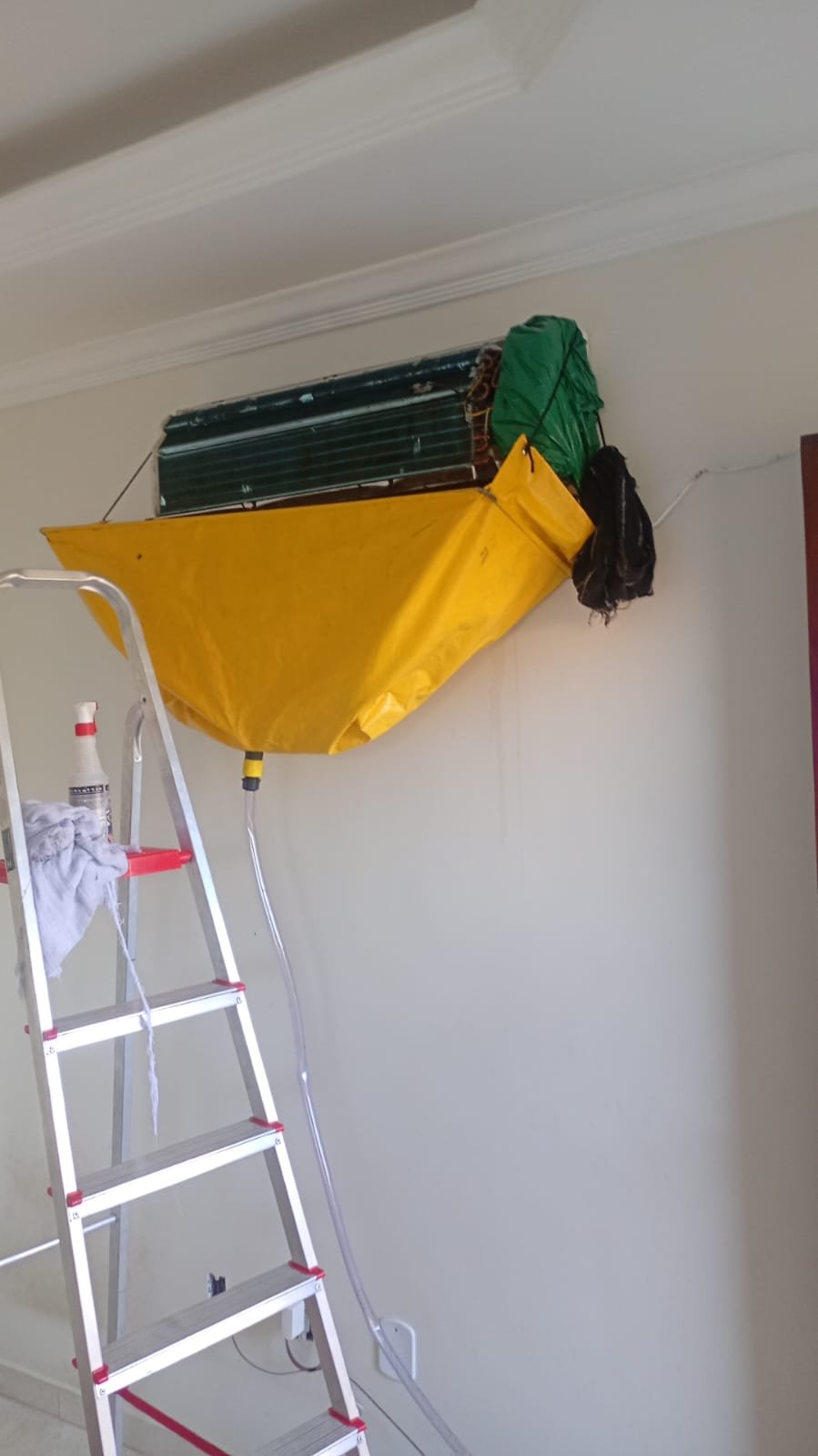 Higienização